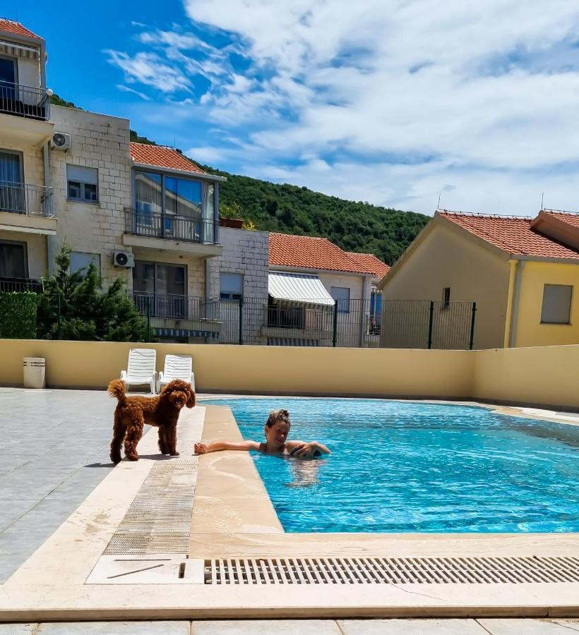 Anja & Ogo Apartments Sea View & Pool Petrovac Zewnętrze zdjęcie